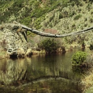 1980. Puente camino La Vihuela.