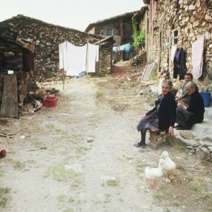 1.980. Señora Anastasia y señora Braulia.