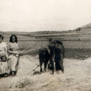 1957. La trilla en la era de la Cañá. María y Martina.